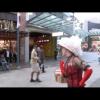 Ultimate Traveller or Shopper nc