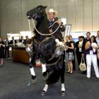 Horseman Frank Green