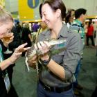 Baby Croc