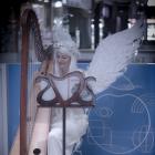 Harpist - Angel