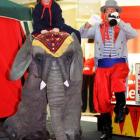 Bubbles the Elephant