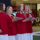 Carol Group