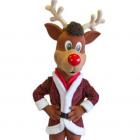 Rudolf the Rednosed Reindeer