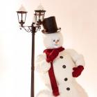 The Snowman