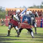 Medieval Knights