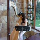 Harpist in Red
