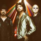 Tribute Show - Should be Dancin'