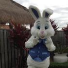 Easter Bunny & Minder